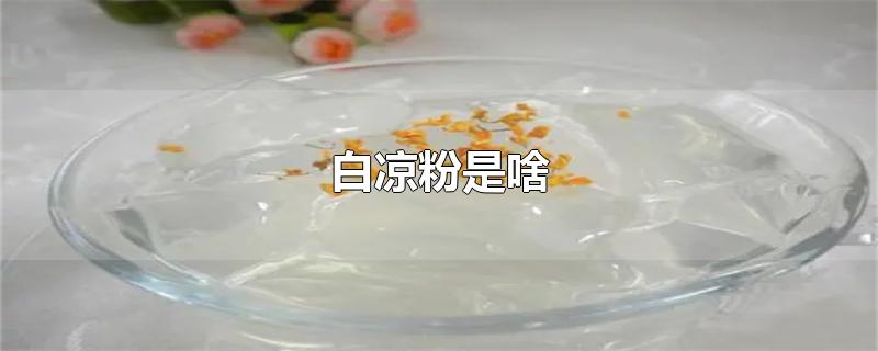 白凉粉是啥-最新白凉粉是啥整理解答