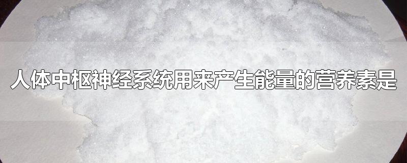 人体中枢神经系统用来产生能量的营养素是-最新人体中枢神经系统用来产生能量的营养素是整理解答