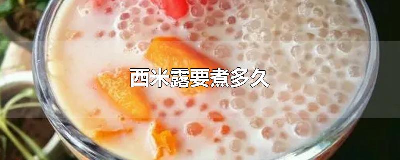 西米露要煮多久