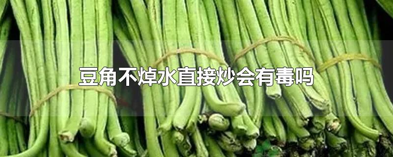 豆角不焯水直接炒会有毒吗-最新豆角不焯水直接炒会有毒吗整理解答