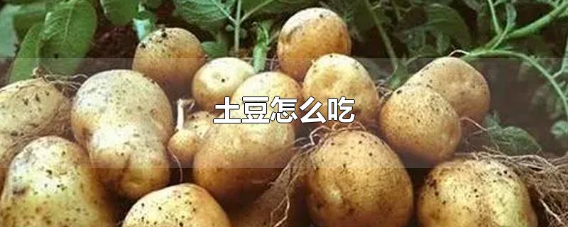 土豆怎么吃-最新土豆怎么吃整理解答