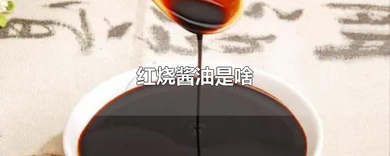 红烧酱油是啥-最新红烧酱油是啥整理解答