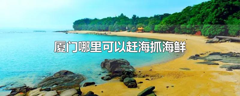 厦门哪里可以赶海抓海鲜-最新厦门哪里可以赶海抓海鲜整理解答