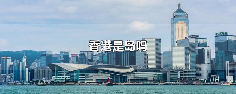 香港是岛吗