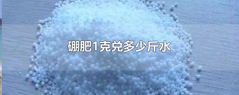 硼肥1克兑多少斤水-最新硼肥1克兑多少斤水整理解答