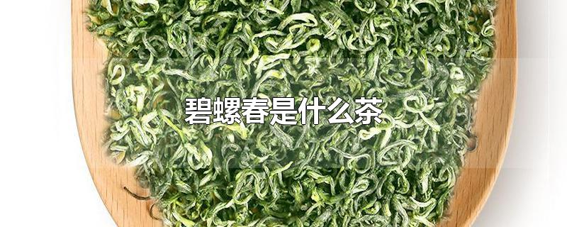 碧螺春是什么茶-最新碧螺春是什么茶整理解答