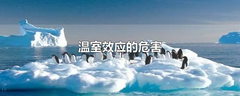 温室效应的危害-最新温室效应的危害整理解答