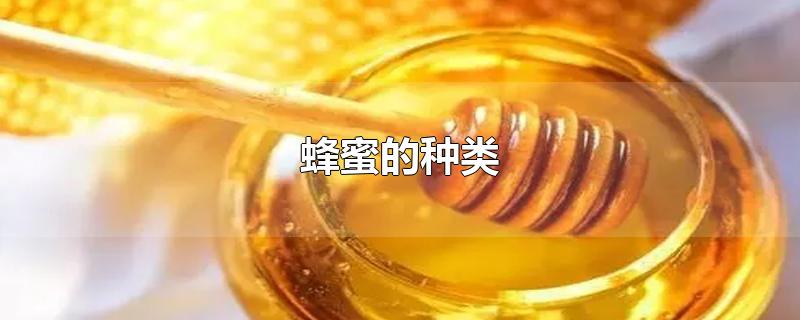 蜂蜜的种类-最新蜂蜜的种类整理解答