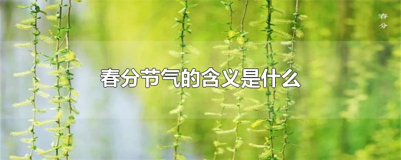 春分节气的含义是什么-最新春分节气的含义是什么整理解答