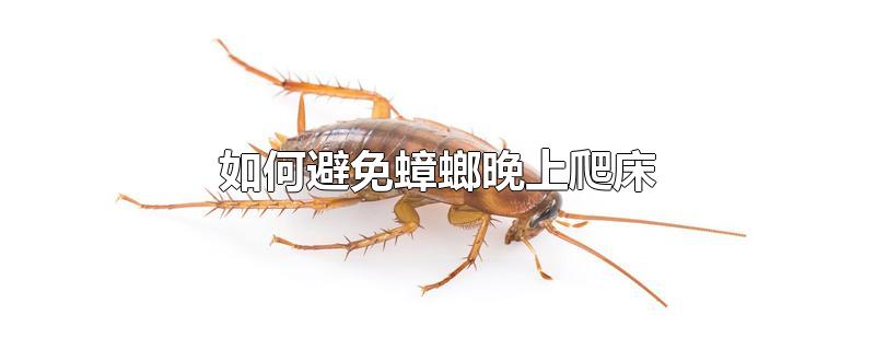 如何避免蟑螂晚上爬床-最新如何避免蟑螂晚上爬床整理解答