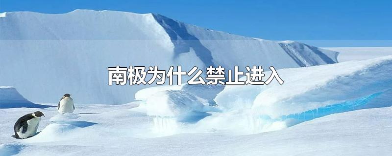 南极为什么禁止进入-最新南极为什么禁止进入整理解答