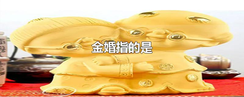 金婚指的是-最新金婚指的是整理解答