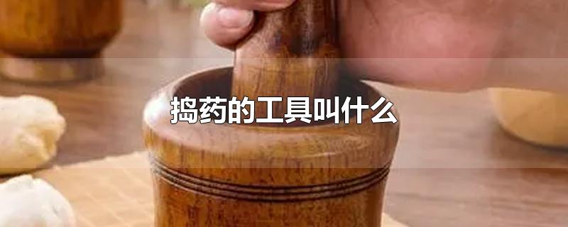 捣药的工具叫什么-最新捣药的工具叫什么整理解答