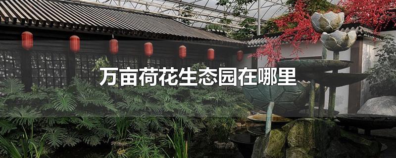 万亩荷花生态园在哪里-最新万亩荷花生态园在哪里整理解答