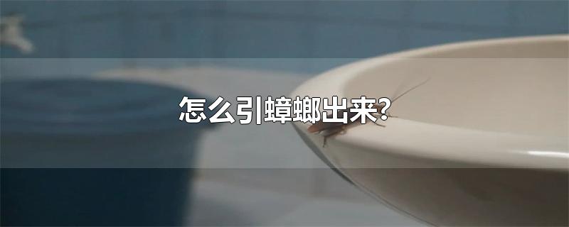 怎么引蟑螂出来?-最新怎么引蟑螂出来?整理解答