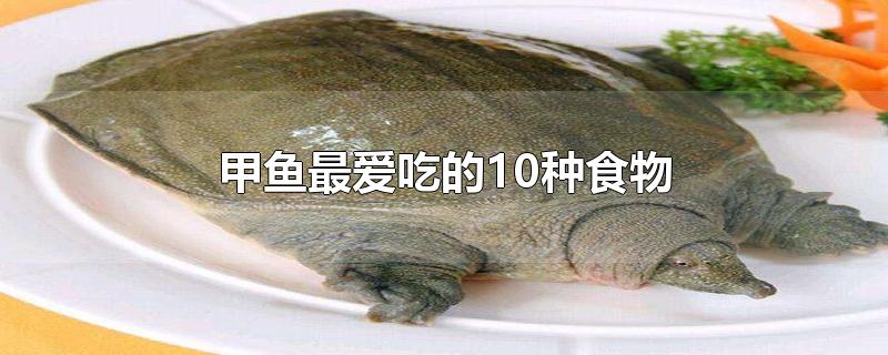 甲鱼最爱吃的10种食物-最新甲鱼最爱吃的10种食物整理解答