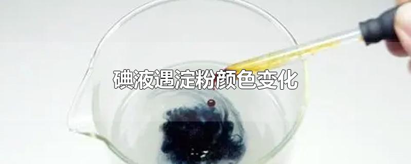 碘液遇淀粉颜色变化-最新碘液遇淀粉颜色变化整理解答