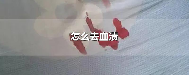 怎么去血渍-最新怎么去血渍整理解答