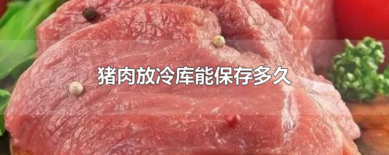 猪肉放冷库能保存多久-最新猪肉放冷库能保存多久整理解答