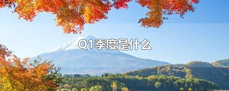 Q1季度是什么