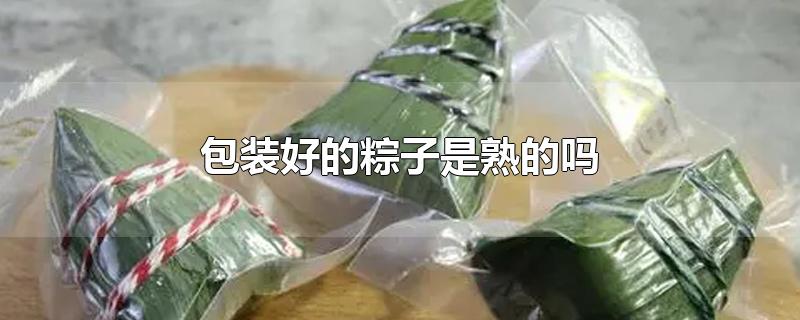 包装好的粽子是熟的吗-最新包装好的粽子是熟的吗整理解答