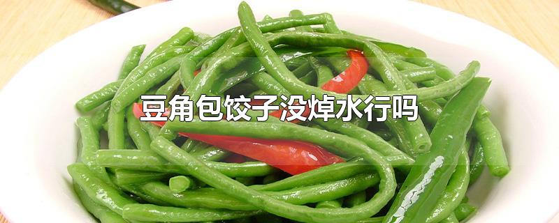 豆角包饺子没焯水行吗-最新豆角包饺子没焯水行吗整理解答