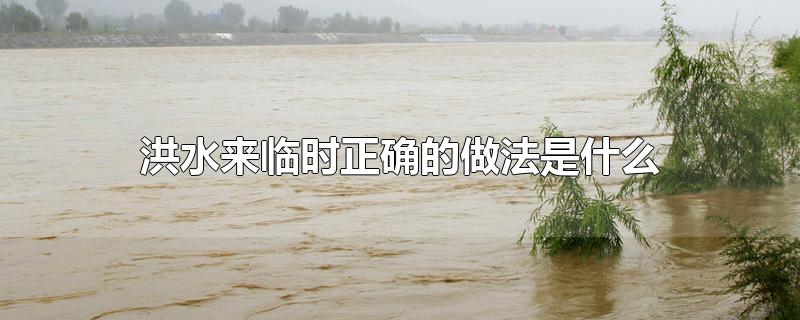 洪水来临时正确的做法是什么-最新洪水来临时正确的做法是什么整理解答