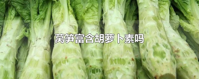 莴笋富含胡萝卜素吗