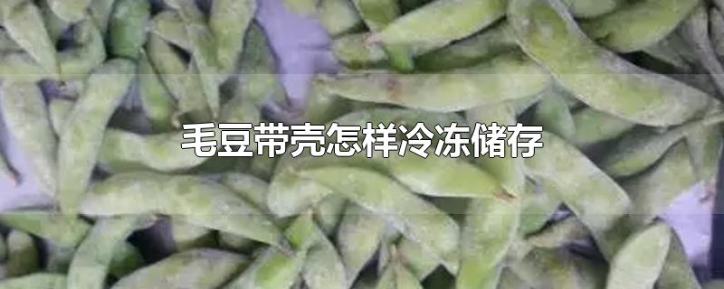 毛豆带壳怎样冷冻储存