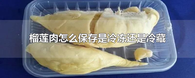 榴莲肉怎么保存是冷冻还是冷藏