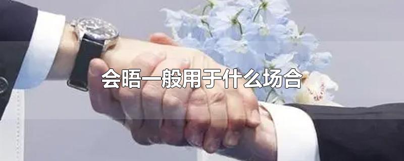 会晤一般用于什么场合