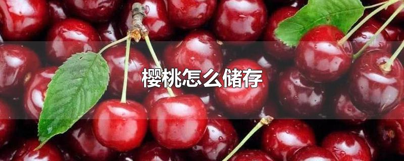 樱桃怎么储存-最新樱桃怎么储存整理解答