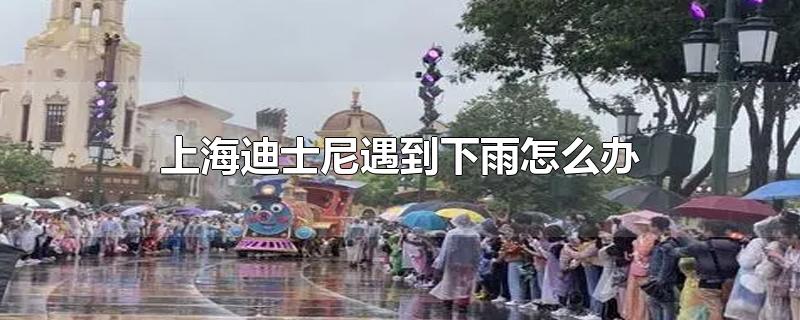 上海迪士尼遇到下雨怎么办