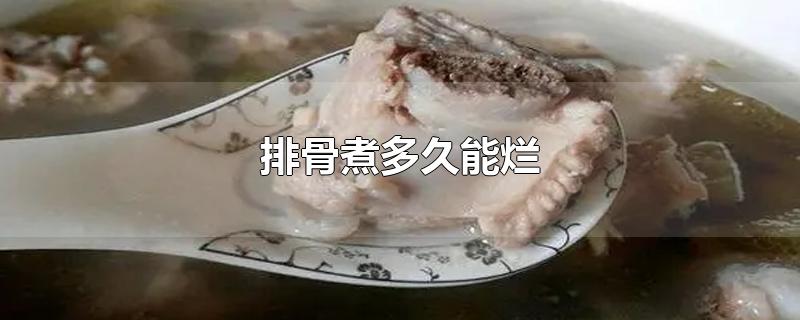 排骨煮多久能烂-最新排骨煮多久能烂整理解答