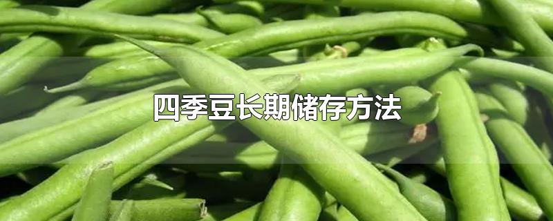 四季豆长期储存方法