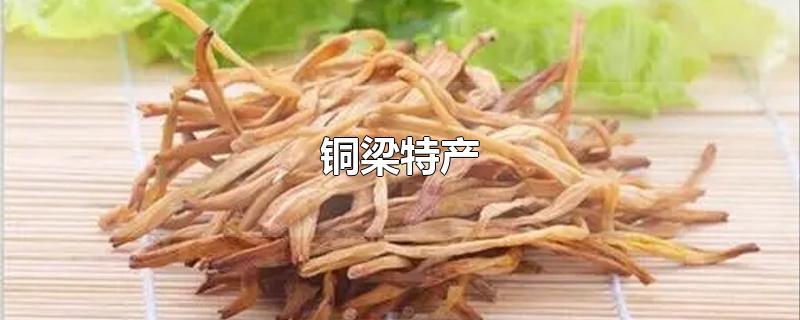 铜梁特产-最新铜梁特产整理解答