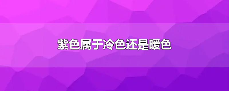 紫色属于冷色还是暖色-最新紫色属于冷色还是暖色整理解答