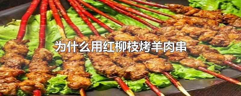 为什么用红柳枝烤羊肉串-最新为什么用红柳枝烤羊肉串整理解答