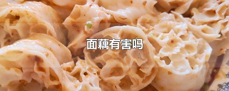 面藕有害吗-最新面藕有害吗整理解答