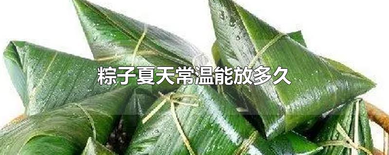 粽子夏天常温能放多久-最新粽子夏天常温能放多久整理解答