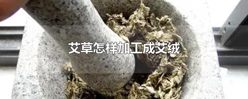 艾草怎样加工成艾绒