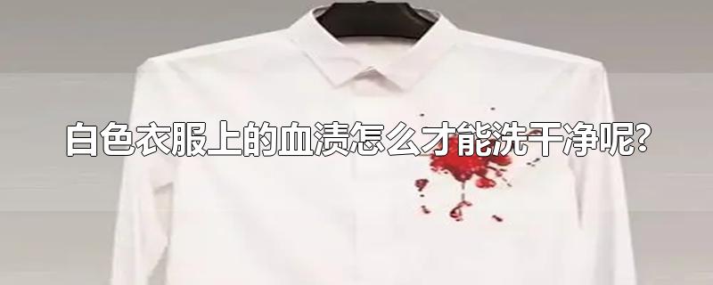 白色衣服上的血渍怎么才能洗干净呢?-最新白色衣服上的血渍怎么才能洗干净呢?整理解答