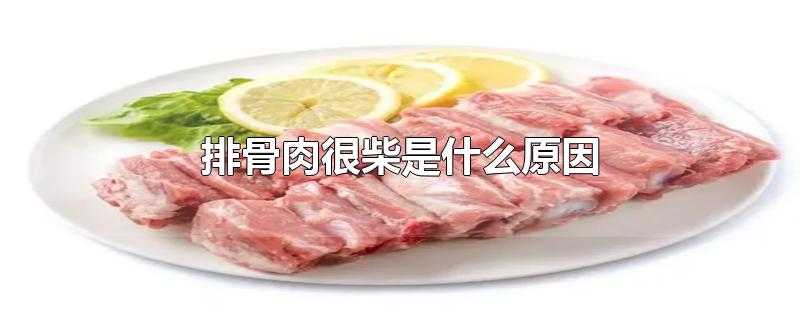 排骨肉很柴是什么原因-最新排骨肉很柴是什么原因整理解答