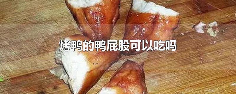 烤鸭的鸭屁股可以吃吗-最新烤鸭的鸭屁股可以吃吗整理解答