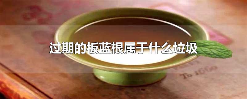 过期的板蓝根属于什么垃圾-最新过期的板蓝根属于什么垃圾整理解答