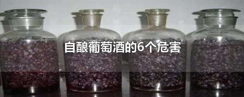 自酿葡萄酒的6个危害