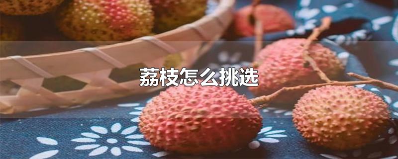 荔枝怎么挑选