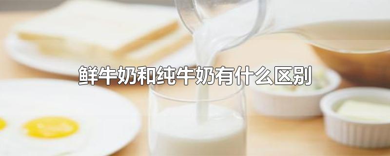 鲜牛奶和纯牛奶有什么区别