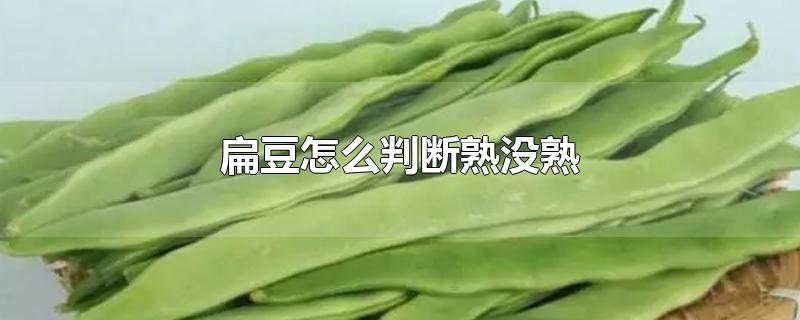 扁豆怎么判断熟没熟