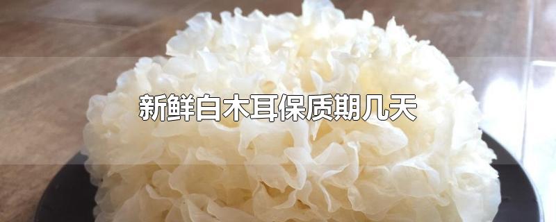 新鲜白木耳保质期几天-最新新鲜白木耳保质期几天整理解答